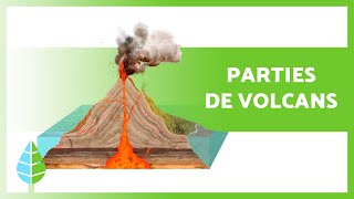 Quelles sont les PARTIES dun VOLCAN  🌋 6 Parties principales [upl. by Glover505]