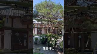 愛知県の津島神社、斎館前に飾られた風鈴🎐 [upl. by Nosredneh]