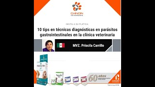 10 tips en técnicas diagnósticas en parásitos gastrointestinales Dra Priscila Carrillo [upl. by Franklin]