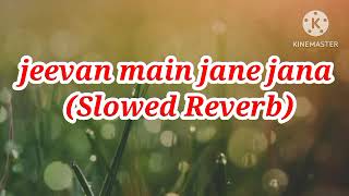 Jeevan main Jane Jana Slow reverb Song old Hindi song slowed slowedandreverb viral song [upl. by Boni]