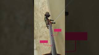 Passione violoncello cello violoncello violoncelle musique [upl. by Yunfei25]