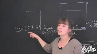 Chromatographie sur couche mince  PhysiqueChimie  Les Bons Profs [upl. by Addiel291]