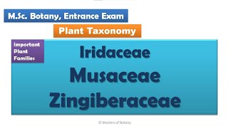 MSc Botany Entrance  Angiosperm Families  Important Notes [upl. by Raynah]