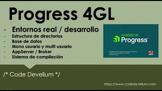 6 Progress 4GL Entorno completo real y desarrollo [upl. by Deering883]