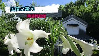 日本民家集落博物館 堂島の米蔵 解説動画 [upl. by Clarita]