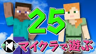 マイクラで遊ぶ25 [upl. by Kohcztiy967]