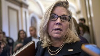 Liz Cheney Meltdown  She Has Gone Insane [upl. by Appilihp]