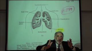 RESPIRATORY PHYSIOLOGY PLEURAL MEMBRANES INTRAPLEURAL PRESSURE amp VALSALVA MANEUVER by Professor F [upl. by Acinnor]