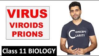 VIRUSVIROIDS amp PRIONS  Class 11 Biology [upl. by Ofori]