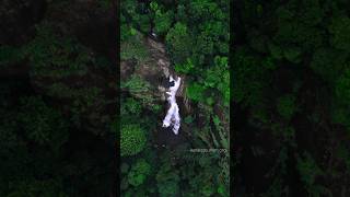 Thrilling Adventures at 900 Kandi  Ziplining Trekking amp Stunning Views in Wayanad [upl. by Flannery]