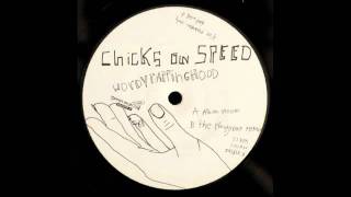 Chicks On Speed  Wordy Rappinghood Radio Edit [upl. by Graner]