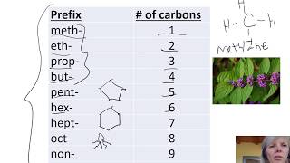 Naming Alkanes amp Cycloalkanes Lecture [upl. by Rozelle]