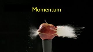 What Is Momentum [upl. by Yesiad]