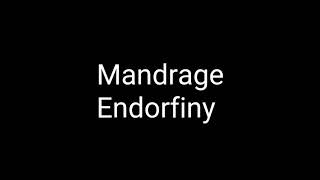 Mandrage  Endorfiny text [upl. by Elleinad462]