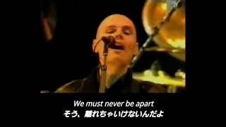 【和訳】The Smashing Pumpkins  Ava Adore Live [upl. by Hooper427]