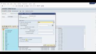 SAP Query Basic [upl. by Dnomhcir]