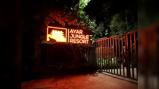 Best Resort in Nainital  Ayar Jungle Resort  Luxury Resort  Uttarakhand Diaries  Full Tour [upl. by Steven87]