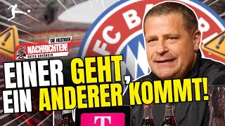 ⚠️❗❓ UNERWARTETER ABGANG BEI BAYERN🚨 SCHAUT EUCH DEN NEUEN NAMEN AN DER KOMMEN KÖNNTE [upl. by Ocramed]