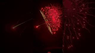 5quot Umbrella☂️ displayshells fireworks 5寸雨伞 特效礼花弹 [upl. by Willy64]