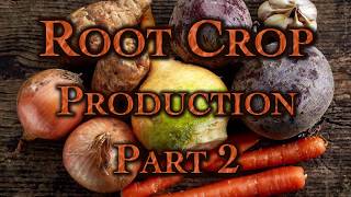 Root Crop Production Part 2 [upl. by Bigford]