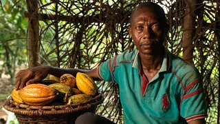 Climate Crisis Fairtrade Cocoa Farmer Speaks out [upl. by Binetta]