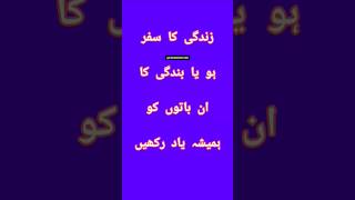 zindagi ka safar quoteszindagiquotes aqwalezareen islamicquotes ytshorts inspirationalquotes [upl. by Delorenzo]