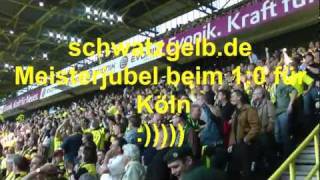 Borussia Dortmund  1 FC Nürnberg  BVB Meisterjubel 2011 10 Köln Meistertor schwatzgelbdevideo [upl. by Jordanson]