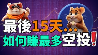 【空投倒數15天】教你如何在15天內賺更多錢！Hamster Kombat官方是如何決定發放多少倉鼠幣的呢？我們如何獲得更多的空投？手機賺錢App [upl. by Idonna584]