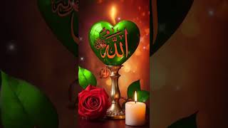 islamicinformation 🌹loveallah ilovemyprophetmuhammadsaw [upl. by Saleme]