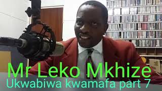 Ukwabiwa kwamafa emndenini part 7 by Leko Mkhize [upl. by Anasus]