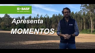 MOMENTOS BASF 🌽 O seu campo de milho está assim [upl. by Newo]