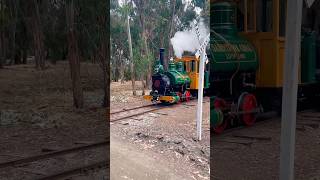 Deanna running through the trees at Ardenwood locomotive narrowgauge steamlocomotive train [upl. by Port]