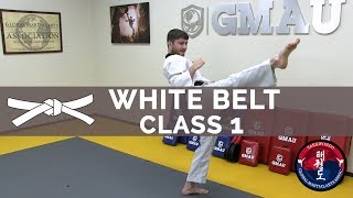 Taekwondo Follow Along Class  White Belt  Class 1 [upl. by Urana]