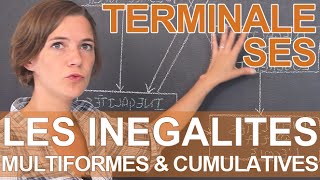 Pourquoi les inégalités sont multiformes et cumulatives   SES  Terminale  Les Bons Profs [upl. by Naharba]