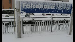 Neve Nevò falconarapalombina Ancona 05022012 [upl. by Acirrehs335]