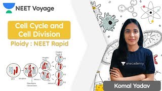 Ploidy  NEET Rapid  Cell Cycle and Cell Division  Botany  NEET Voyage  Komal Yadav [upl. by Perkoff]