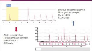 Pyrosequencing — technology for microbial identification and resistance screening assays [upl. by Akinahs]