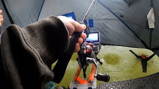 Ice Fishing the Only quotSafequot Ice in My Area Perch  Pickerel [upl. by Rutter]