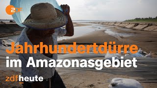 Regenwald ohne Regen Angst um das Amazonasgebiet  auslandsjournal [upl. by Dressel]