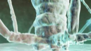 Bacteriophage Hybrid Medical Animation HD [upl. by Hamil]