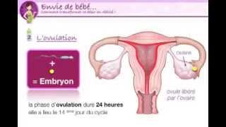 Astuces et conseils pour tomber enceinte rapidement [upl. by Attiuqehs473]