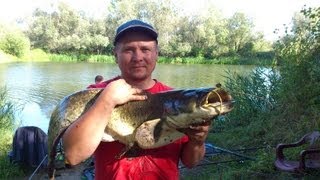 sezon wędkarski w pigułcefishing [upl. by Ikoek483]