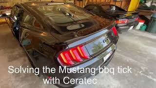 Mustang BBQ tick solved Ceratec No monologues [upl. by Claudy816]