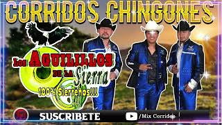 Los Aguilillos de la Sierra Mix 100 Sierreños  Puros Corridos Mix  Musica Chingona Para Pistear [upl. by Shuman]