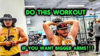 Best Arm Workout On The Planet [upl. by Nomead]