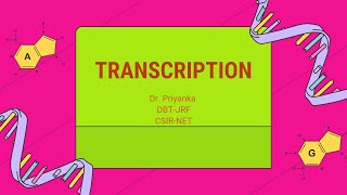 Transcription Process in Prokaryotes and Eukaryotes [upl. by Kial604]