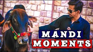 Mandi Moments By Peshori Vines Official [upl. by Cleavland]