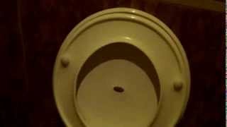 Autoflush VILLEROYampBOSH Toilet [upl. by Amehsat292]