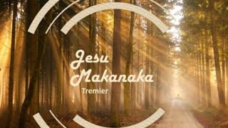 Hallelujah Jesu Makanaka by Tremier Cover by Sean Njenje worship worshipsongs live [upl. by Kho]