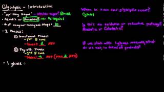 Glycolysis Part 1 of 3  Introduction [upl. by Helve752]